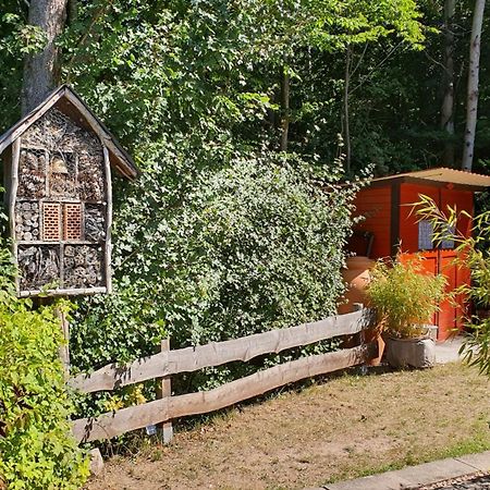 Ferienhaus Am Wald Ronshausen Esterno foto