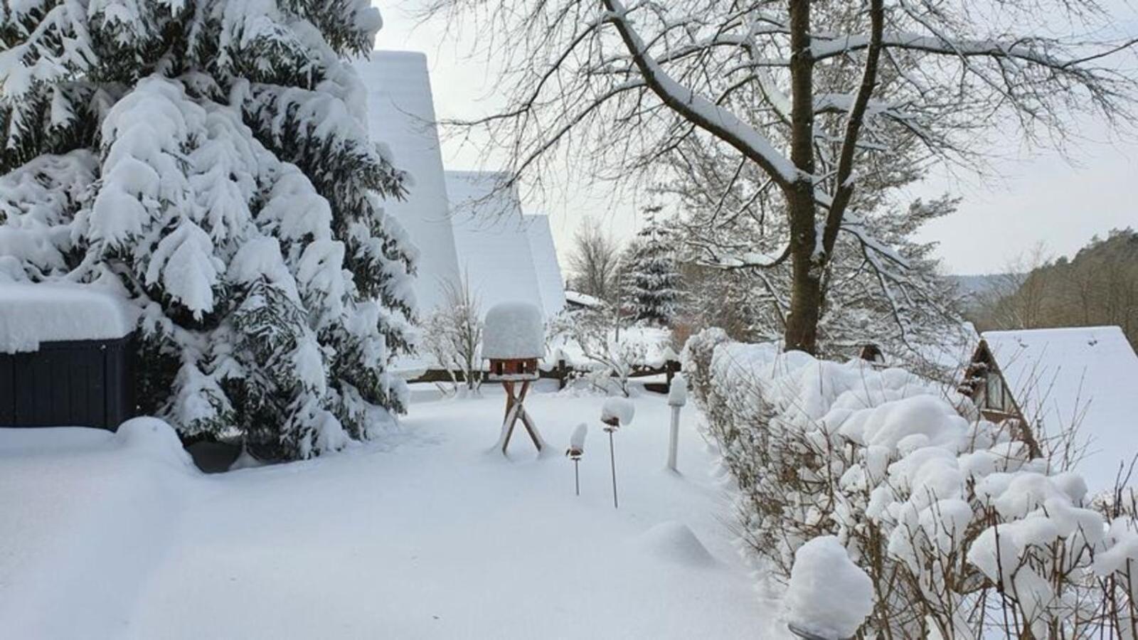 Ferienhaus Am Wald Ronshausen Esterno foto